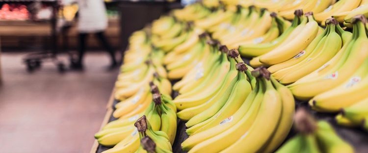Bananas for Sober Living in Boston Massachusetts